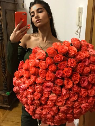 Алиса